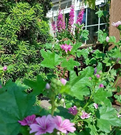 Auszeit Wohnung Hof Narla Bahnsdorf Buitenkant foto